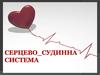 Серцево-судинна система
