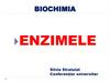 Biochimia. Enzimele