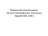 Нарушения эмоционально-личностной сферы при локальных поражениях мозга