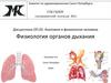 Физиология органов дыхания. Контроль исходных знаний (фронтальный опрос)