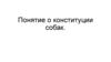 Понятие о конституции собак