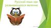 Русский язык как развивающееся явление