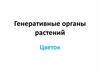 Генеративные органы растений. Цветок
