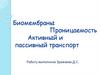 Биомембраны. Проницаемость. Активный и пассивный транспорт