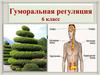 Гуморальная регуляция