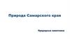 Природа Самарского края