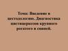 Цестодология. Диагностика цистицеркозов крупного рогатого скота и свиней