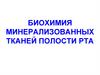 Биохимия минерализованных тканей полости рта