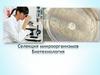 Селекция микроорганизмов. Биотехнология