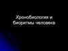 Хронобиология и биоритмы человека