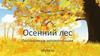 Осенний лес. Постановка и автоматизация звука ш