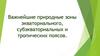 Важнейшие природные зоны экваториального, субэкваториальных и тропических поясов