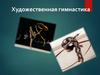 Художественная гимнастика