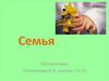 Семья. Функции семьи. Жизненный цикл семьи