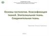 Основы гистологии. Классификация тканей. Эпителиальная ткань. Соединительная ткань