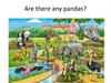 Are there any pandas?