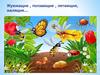 Жужжащие , ползающие , летающие, жалящие…. Насекомых на земле