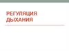 Регуляция дыхания