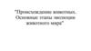 Происхождение животных. Основные этапы эволюции животного мира