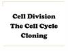 Cell division. The cell cycle. Cloning