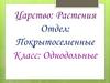 Царство: Растения. Отдел: Покрытосеменные. Класс: Однодольные