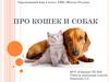 Про кошек и собак