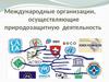 Международные организации, осуществляющие природозащитную деятельность