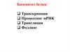 Биосинтез белка: Транскрипция. Процессинг мРНК. Трансляция. Фолдинг