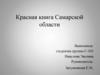 Златка черная. Красная книга Самарской области