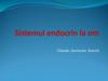 Sistemul endocrin la om. Glande, hormoni, functii