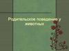 Родительское поведение у животных