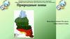Природные зоны мира