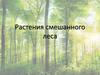 Растения смешанного леса