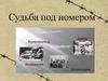 Судьба под номером