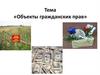 Объекты гражданских прав