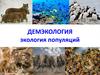 Демэкология экология популяций