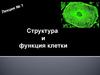 Структура и функция клетки