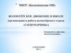 Волонтёрское движение в школе (организация и работа волонтёрского отряда «Гардемарины»)