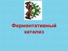 Ферментативный катализ