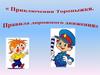 Приключения Топтыжки. Правила дорожного движения