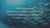 Анализ рынка рыбоконсервных комбинатов в Калининградской области