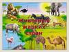 Животные жарких стран