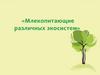 «Млекопитающие различных экосистем»