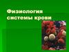 Физиология системы крови