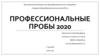 Профессиональные пробы 2020