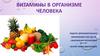 Витамины в организме человека