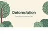 Deforestation  "Human - driven and natural loss of trees"