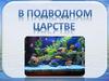 В подводном царстве