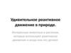 Удивительное реактивное движение в природе