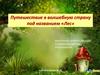 Путешествие в волшебную страну под названием «Лес»